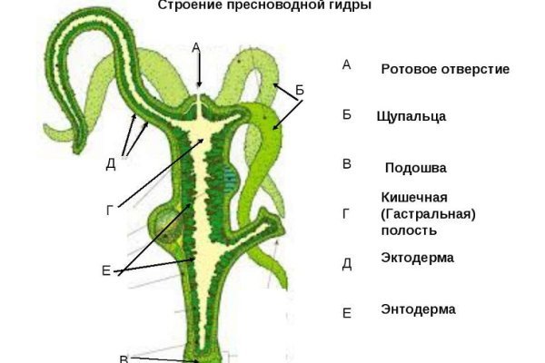 Kraken onion вход